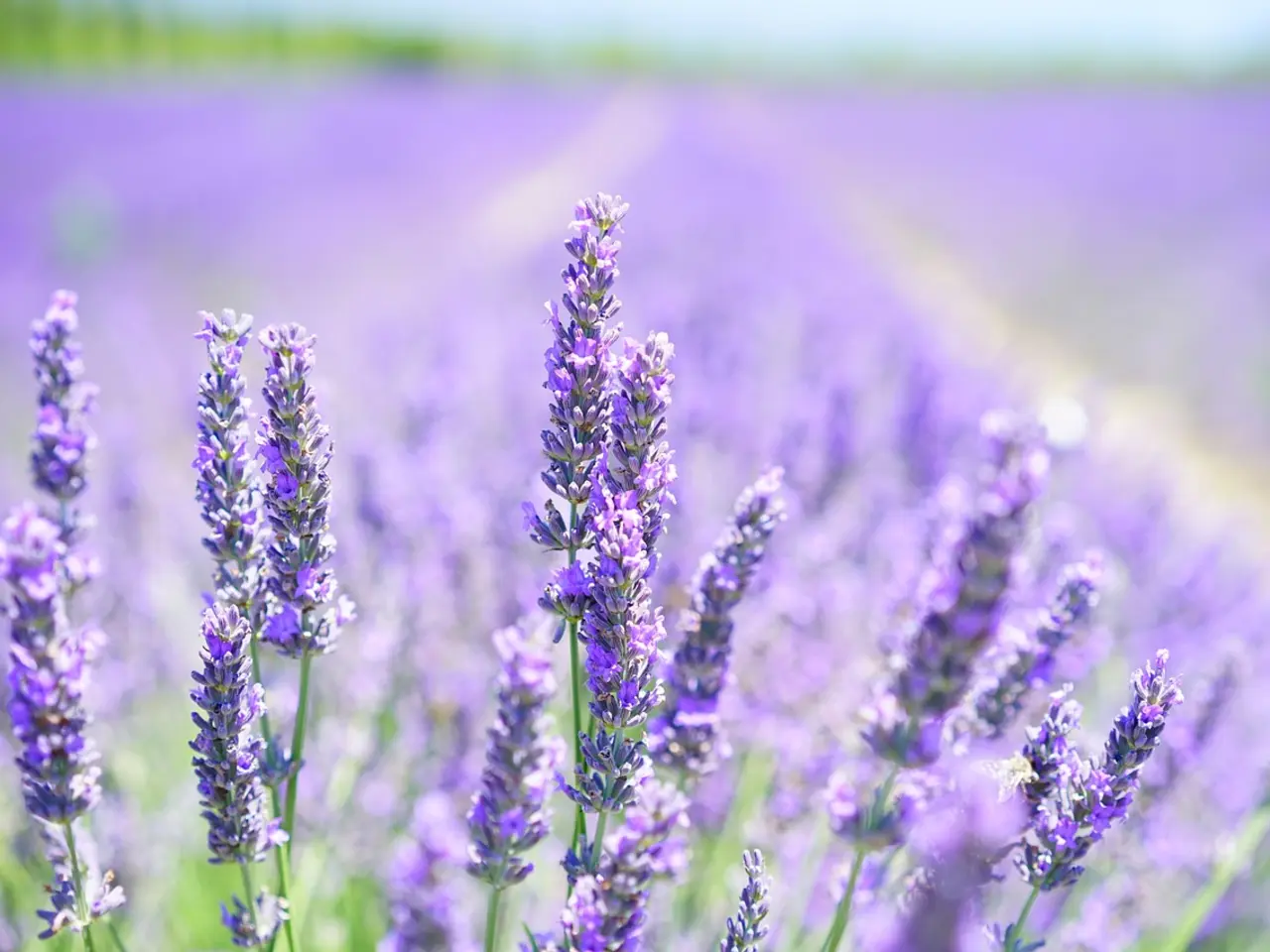 été