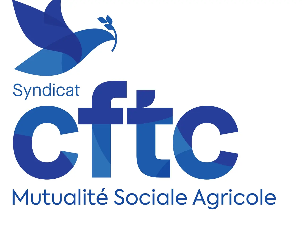 Logo CFTC MSA