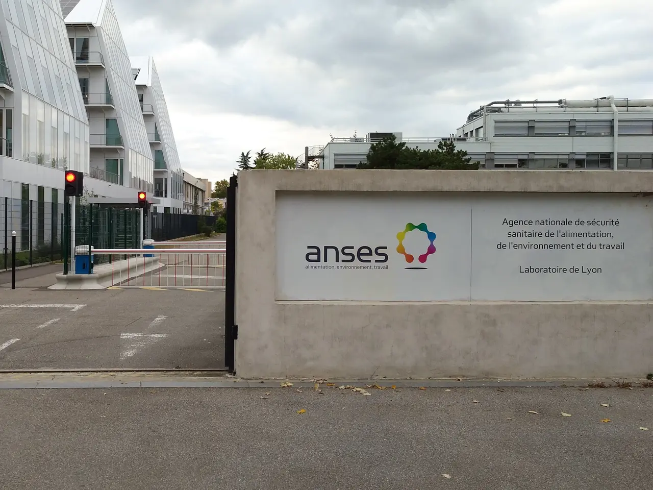 anses