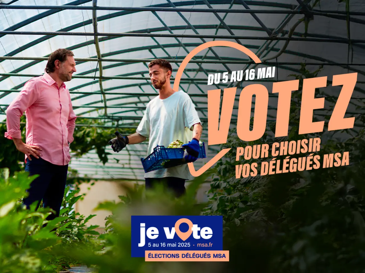 élections MSA