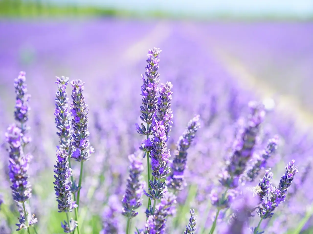 été