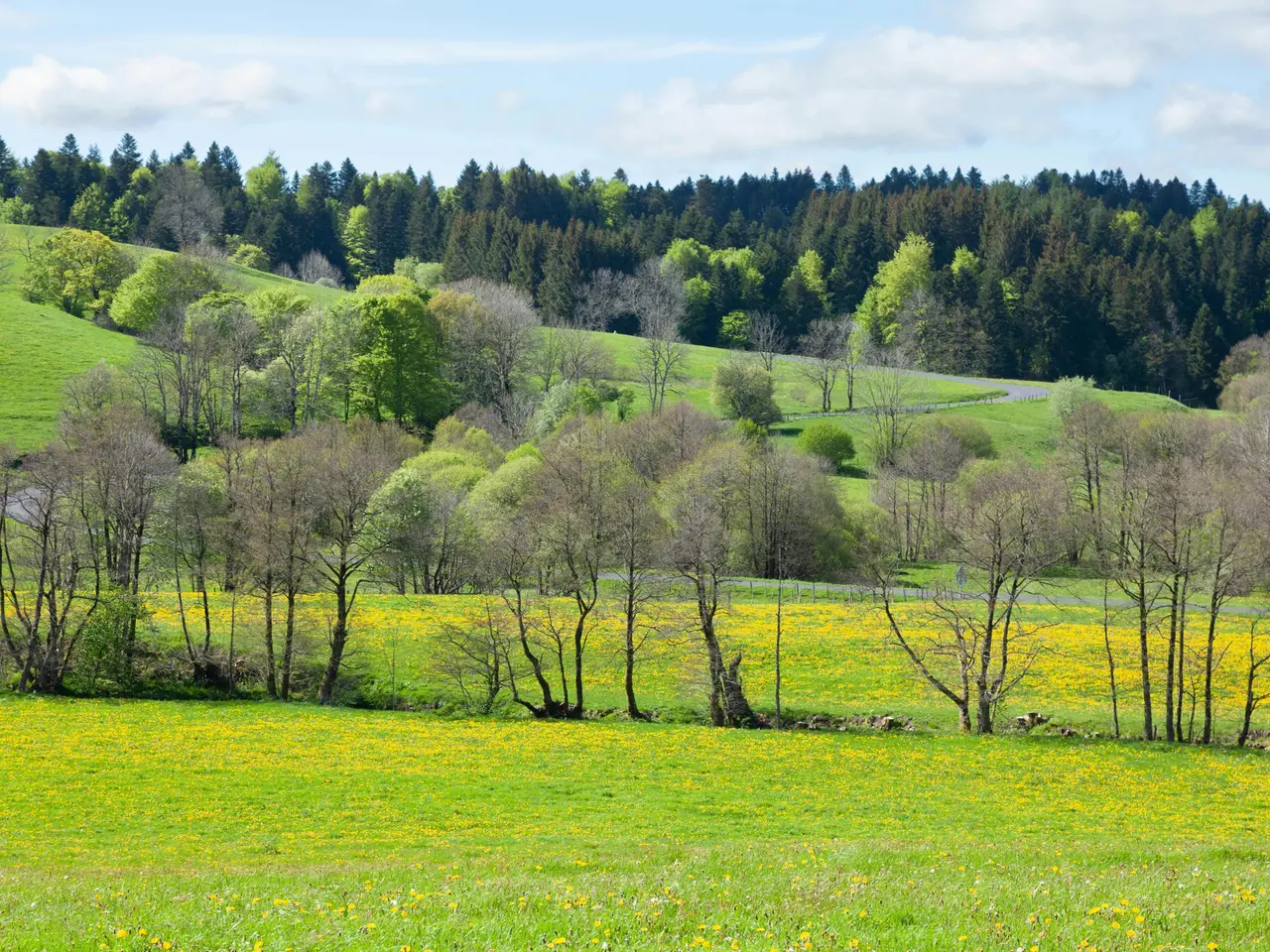 printemps
