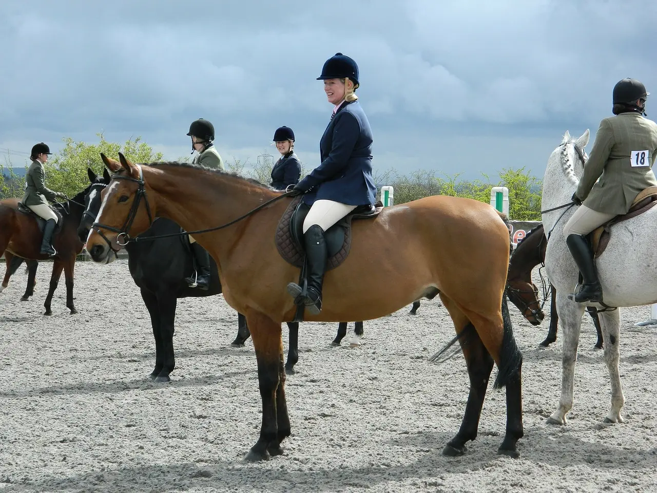 cheval