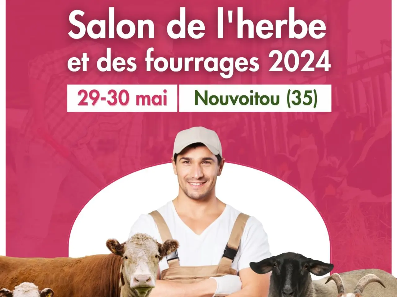 herbe et fourrages