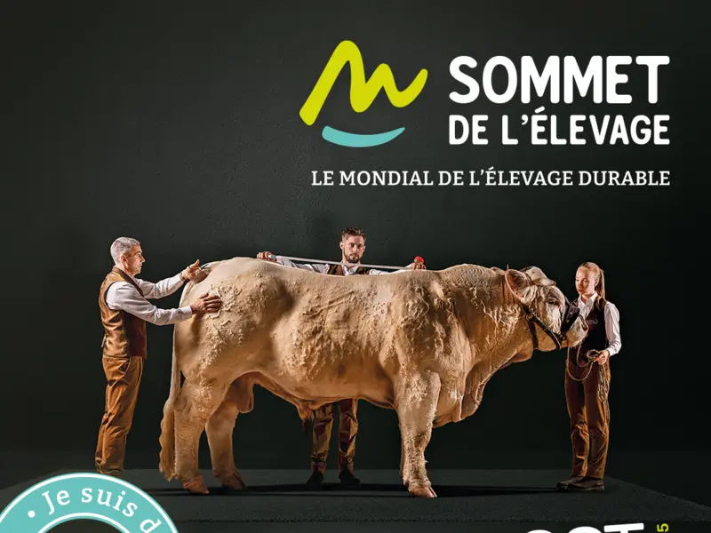 sommet de l'élevage