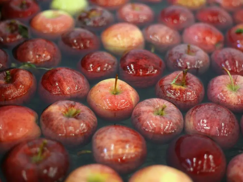 coops fruits et légumes