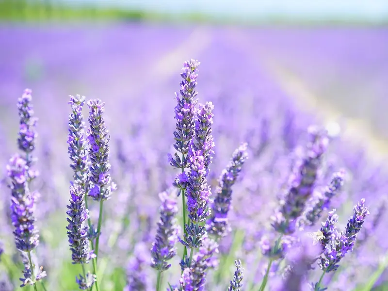 été