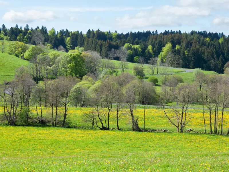 printemps