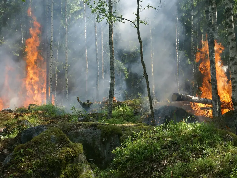 incendie