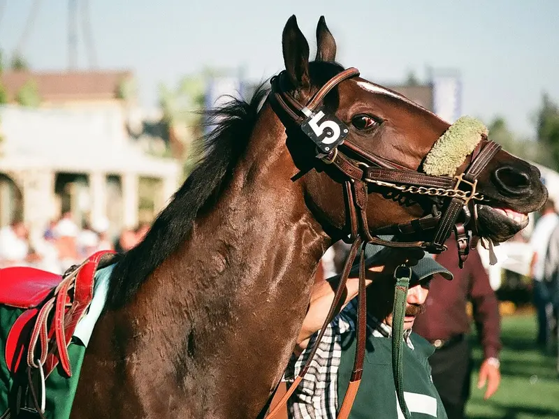 cheval