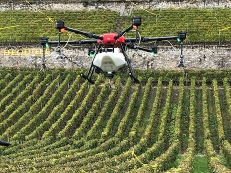 drone