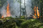 incendie